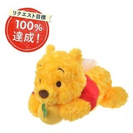 Winnie the Pooh 柚子小熊維尼紙巾套 毛絨 公仔 趴趴熊 擺設 裝飾 生日 節日 送禮 禮物