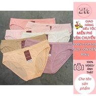 Set of 5 women's underwear Thinh Phat 999QQ, 999Q 100% cotton large size 70-80kg