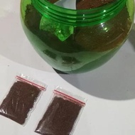 biji benih tembakau super siap semai isi ribuan