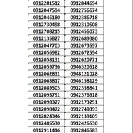 SIM VINA MỖI NGÀY 2GB ( 60GB / THÁNG )