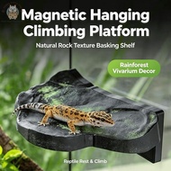 🦎Strong Magnetic Climbing Pet Hanging Climbing Platform Rock Sunning Platform Hide House, Suitable f