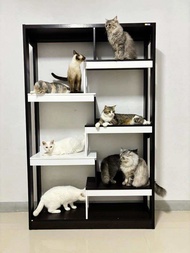Besta บ้านแมว คอนโดแมว ชั้นวางเอนกประสงค์เดอะเทรนเนอร์ ชั้นวางหนังสือ