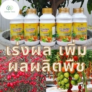 ปุ๋ย Vio Super Big X10 ปุ๋ยเร่งผลใหญ่ เพิ่มผลผลิตถึง 10 เท่า