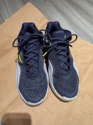 Nike 籃球鞋