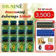 DB9 DB-NINE ดีบีไนน์ อาหารเสริมเบาหวาน ความดัน ไขมันอุดตันเส้นเลือด สมุนไพร (โปร 12 กระปุก)