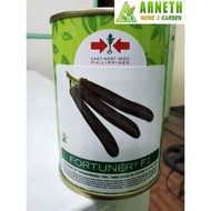 ♞FORTUNER F1 EGGPLANT SEEDS (50g CAN)