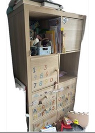 IKEA KALLAX 儲物櫃連櫃門