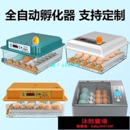 統編孵化器 110V 全自動 小雞孵化機 智能恒溫 孵蛋器 恒溫孵化箱 鴨鵝孵蛋機