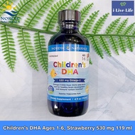น้ำมันตับปลาอาร์กติก สำหรับเด็ก Childrens DHA Ages 1-6 Strawberry 530 mg 119 ml - Nordic Naturals EP