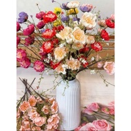 Azalea Flower (Newest Antique Rice Camellia.2025 Beautiful Flower Color