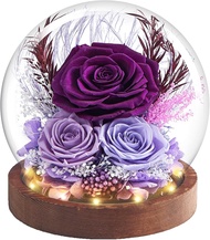 WDS WONDROUS Preserved Flowers Gifts for Her WomenBirthday Gifts for Mom Girlfriend Wife GrandmaLigh