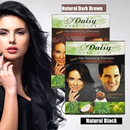 [Bundle of 4] Daisy Herb Club Hair Darkening Shampoo  Natural Black / Natural Dark Brown