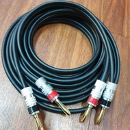 Best selling 12 awg 4 meter esoteric cable + banana plug SALE