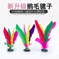 Dahua Shuttlecock Chicken Feather Competition Shuttlecock Kick-Resistant Shuttlecock Key Fitness Chi