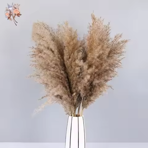 Fluffy Dried Pampas Bouquet Boho Home Decoration Natural Phragmites Reed Pampa Bunch Wedding Artific