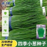 Four Seasons Scallion Seeds Seeds Small Scallion Seeds Scallion Seeds Potted Scallion Seeds Vegetabl