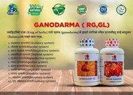 DXN Reishi Gano RG 360+ Ganocelium GL 360 Ganoderma Lingzhi (Ready Stock