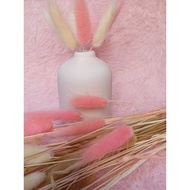 Hiasan asthetic/Ceramic vase with bunny tail flower/pasu bunga