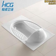 hcg和成衛浴 c117 和成蹲式馬桶蹲坑陶瓷蹲便器 專櫃 c128
