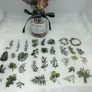 [Fly Shine] F007 Sticker