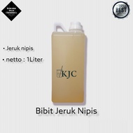 Bibit Jeruk Nipis / Bibit Aroma Jeruk Nipis netto 1 Liter