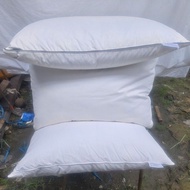 Star hotel goose down pillow