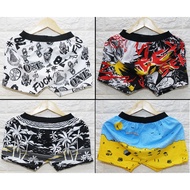 Men's Briefs/Men's Boxer Shorts/Printed Pants/Cartoon Pants/Unisex Boxer/Surf Pants