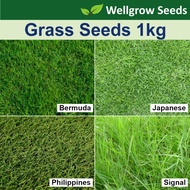 Grass Seeds Assorted - 1kg (Bermuda/Japanese/Philippines/Signal) Benih Rumput Wellgrow Seeds