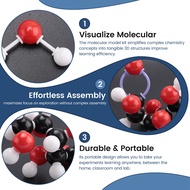 Molecular Model Kit Organic Molecular Chemistry Set Atom Element Model Kit for Lessons  Structures B