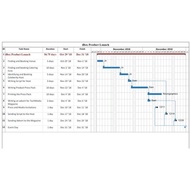 [Udemy Course] Developing Professional Project Plans through MS Project by Mubasher Rehman M. Engg.
