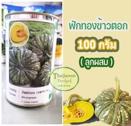 ฟักทองข้าวตอก ทิพย์ทอง ตรา Seedline เนื้อเหลืองเข้ม หนาแน่นมัน