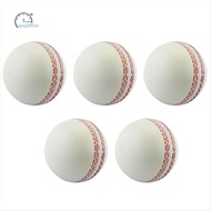 Sports Cricket, Training Cricket, Sports Wind Swing Rebound  Cricket, Elastic Decompression Ball