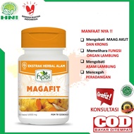 Magafit obat herbal Penyakit Maag