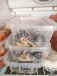 TIKUS OSENG | TISENG | UMPAN GACOR | KHUSUS PULAU JAWA