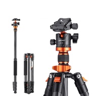 Chân máy ảnh du lịch K&F Concept Carbon Fiber D254C1