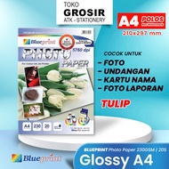 (LIVE) Glossy Photo Paper / Glossy Photo Paper BLUEPRINT A4 230 gsm Plain TULIP