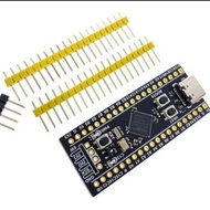 STM32F411CEU6 ARM-Cortex M4 [Alfa]