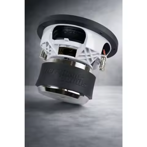 Gold 10" SUBWOOFER D2 1, 000RMS 2, 000WATTS