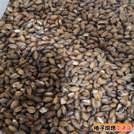 [Grapefruit Baked Food] Australian Cooked Barley (3kg) 3kg Barley Shelled Barley Barley Tea Barley T