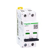 Schneider DC65N-DC Micro Circuit Breaker 1P DC60V 2P DC125V 10A 16A 20A 25A 32A Direct Current Air S
