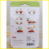 ✗ ▩ ◪ East West Seeds Siling Labuyo Red Hot F1 (150 seeds)