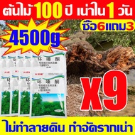 💥ฆ่าต้นไม้และไม้ไผ่ทุกชนิด💥 ยาฆ่าต้นไม้ใหญ ยาฆ่าไผ่ ยาฆ่าหญ้ 500g ซื้อ2แถม1 สูตรเข้มข้น รากเน่าเสียทันที ไม่ทำลายดิน รวดเร็ว ทนนาน บอกลาการตัดต้นไม้ด้วยตนเอง ผงกำจัดต้นไม้ ผงกำจัดกอไผ่ ยาฆ่าตอไม้ ยาฆ่าไม้ไผ่  ยาฆ่าตอต้นไม้ สารกำจัดกอไผ่ ยากำจัดต้นไม้