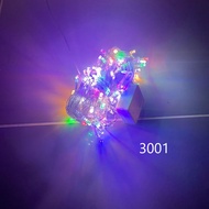 LAMPU RAYA SPECIAL 10METER 100L LAMPU RAYA DECORATION LED TWINKLE LIGHT HOME