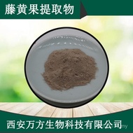 Tamarind Ready Stock HCA Garcinia Cambogia 60% Guarantee Extract Hydroxygen Citric Acid Extract Qual