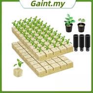 Ready to Use Rockwool Hidroponik + Net Pot | Hydroponic Planting Media Set