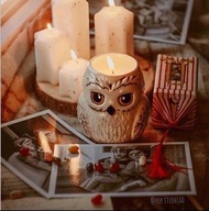 ✨✨現貨發售✨✨  美國品牌Charmed Aroma x Harry Potter Hedwig Owl Candle 哈利波特 的貓頭鷹香薰蠟燭