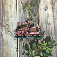 CHINESE COUNTRY BEIJING FRIDGE MAGNET