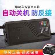 Lead-Acid Battery Electric Vehicle Charger 48v60v20ah72v20ah60v50ah Battery Tricycle