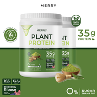 ส่งฟรี ของแท้ [2 กระปุก] Merry Plant Protein โปรตีนพืช 5 ชนิด : รส Matcha Green Tea