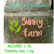 Timothy 1 Lo (Without Dust)